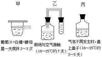 www.xiangpi.com
