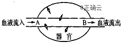 www.xiangpi.com