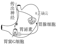 www.xiangpi.com