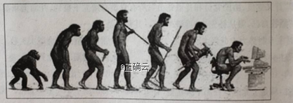 www.xiangpi.com