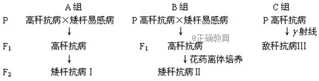 www.xiangpi.com