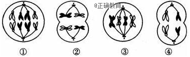 www.xiangpi.com