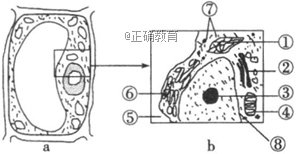 www.xiangpi.com