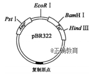 www.xiangpi.com