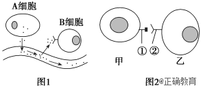 www.xiangpi.com