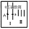 www.xiangpi.com