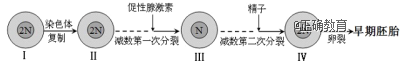 www.xiangpi.com