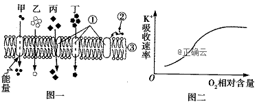 www.xiangpi.com