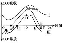 www.xiangpi.com