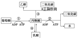 www.xiangpi.com