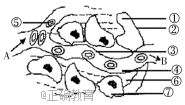 www.xiangpi.com