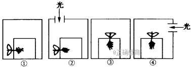 www.xiangpi.com
