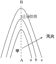 www.xiangpi.com
