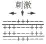 www.xiangpi.com