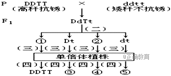 www.xiangpi.com