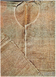 www.xiangpi.com