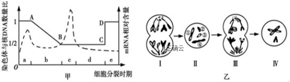 www.xiangpi.com