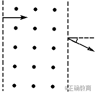 www.xiangpi.com