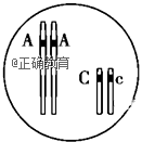 www.xiangpi.com