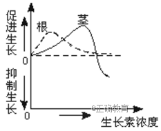 www.xiangpi.com