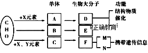 www.xiangpi.com
