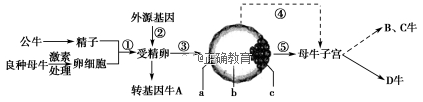 www.xiangpi.com