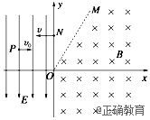 www.xiangpi.com