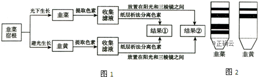 www.xiangpi.com