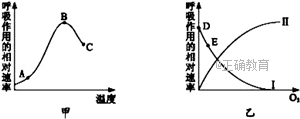 www.xiangpi.com