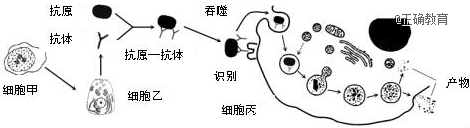 www.xiangpi.com