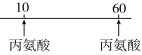 www.xiangpi.com