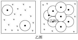 www.xiangpi.com