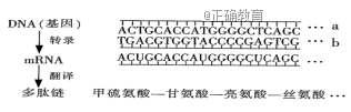 www.xiangpi.com