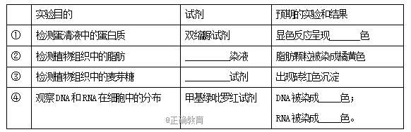 www.xiangpi.com
