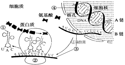 www.xiangpi.com