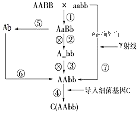 www.xiangpi.com