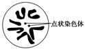 www.xiangpi.com