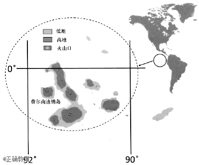 www.xiangpi.com
