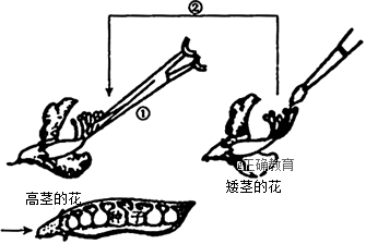 www.xiangpi.com