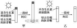 www.xiangpi.com
