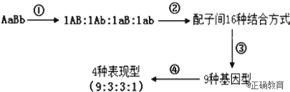 www.xiangpi.com