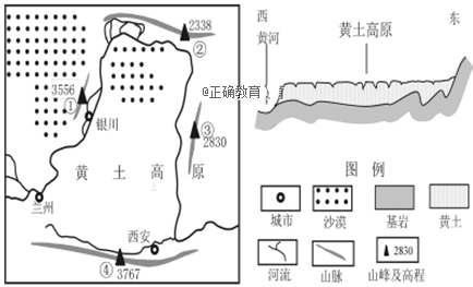 www.xiangpi.com