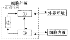 www.xiangpi.com