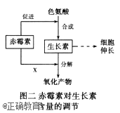 www.xiangpi.com