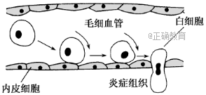 www.xiangpi.com