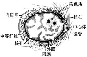 www.xiangpi.com
