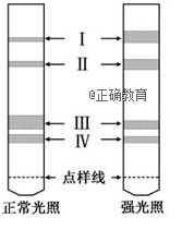 www.xiangpi.com