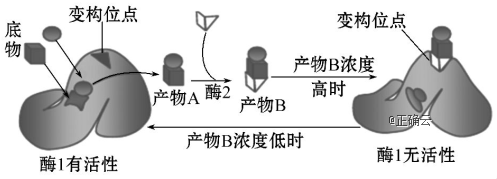 www.xiangpi.com