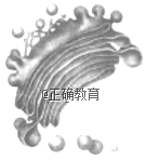 www.xiangpi.com