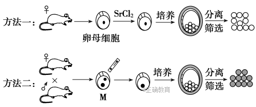 www.xiangpi.com